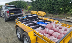 Venison distributed across North Canterbury Image