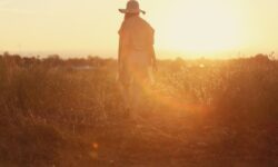 Singleness and the church: Living fully as the body of Christ Image