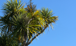 Abuse in Care Formal Apology from the Baptist Union of New Zealand Image