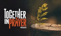 Together in Prayer week 3: Renewal Image