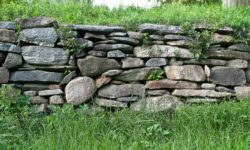 Are Baptist churches really autonomous? Image