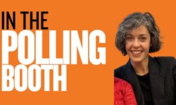 In the polling booth: Susan Barrett Image